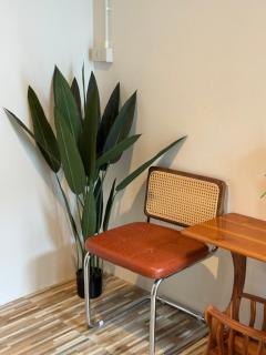 khaosok Center Hostel - 4