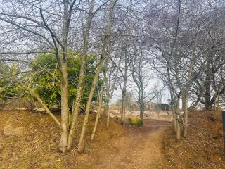 Tattershall lakes larch view - 1