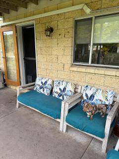 Cosy farmstay, Pet friendly, Alpacas,Scenic - - 1