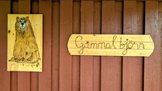 Gammal björn - Dalskog - 5