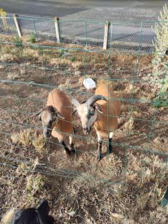 Studio de la bastide - 2