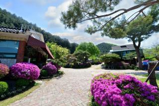 Pensyeon Hai - Chuncheon - 6
