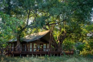 Tuli Safari Lodge Mashatu - 9