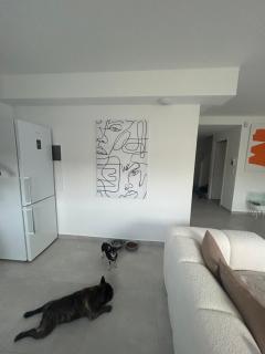 Belle chambre dans villa neuve avec piscine - 3