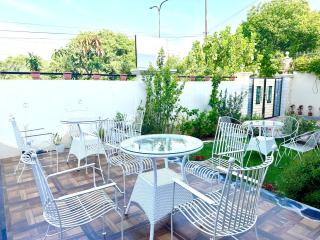 DANG by Modern Haven - 2