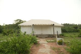 Jawai jungle camp - 5