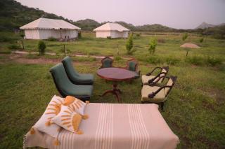 Jawai jungle camp - 2
