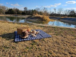 Kwamanzi Guest Farm - 9