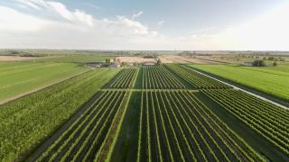 Tenuta Tommasi - Relais Bacco - Caorle - 2