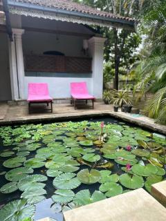 Plumeria Weligama - 5