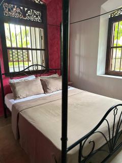 Plumeria Weligama - 2