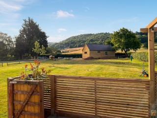 Cuckoo Lodge - Uk42541 - Winforton - 1