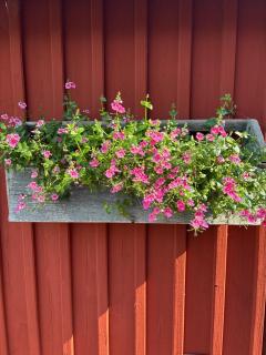 Havsutsikt Kårehamn - 8