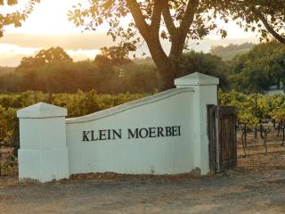 The Neighbours Farm - Homestead - 9