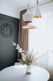 Top-floor 1BR Full equipped in Riscani Chisinau - Chişinău - 7