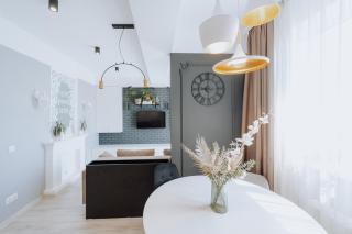 Top-floor 1BR Full equipped in Riscani Chisinau - Chişinău - 4