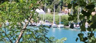La Chicca - Ameglia - 0