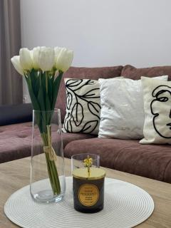 Apartman Daca Apatin - 2