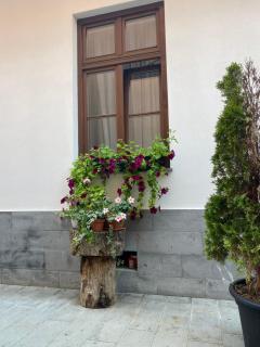 Arce Boutique - 3