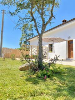 Dimora Sogni di campagna - Teulada - 9