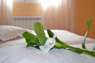 Hostal Pereiriña - Cee - 9