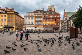 Plac Zamkowy Old Town, Sun & Snow - Warschau - 0