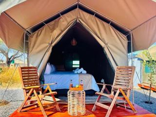 Tlou Tented Safari Camp - Pilanesberg - 0