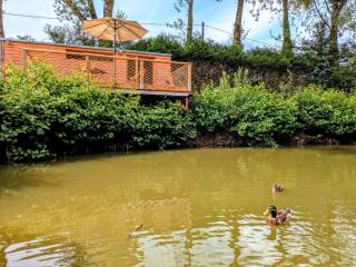 Au silence des Peupliers - Litteau - 8