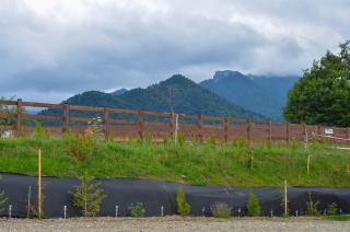 Casa Calatorului Rasnov - 7