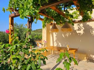BROWN ON GREEN a stone house with amazing view - Drapaniás - 3