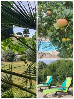Le Jardin des Bosquets Gite - - 7