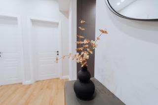 Fully equipped 1BR by Monuments & Shopping Spots - Chişinău - 3