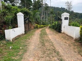 Northern valley - Madikeri - 2