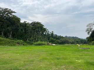 Northern valley - 3