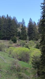 Родопско сърце - 1