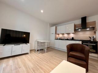 Appartement lumineux 2 pièces, cœur de Saint-Jean-de-Luz, proche plage et commerces, avec WIFI - FR-1-239-1002 - 2