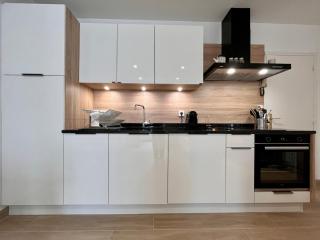 Appartement lumineux 2 pièces, cœur de Saint-Jean-de-Luz, proche plage et commerces, avec WIFI - FR-1-239-1002 - 1