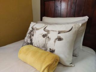 The Anvil Rest Cottage - Calitzdorp - 7