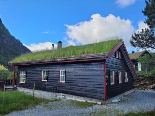 Spacious Wood Cabin 50 min from Bergen - Eikedalen - 7
