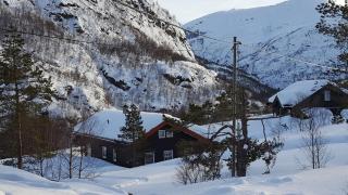 Spacious Wood Cabin 50 min from Bergen - 3