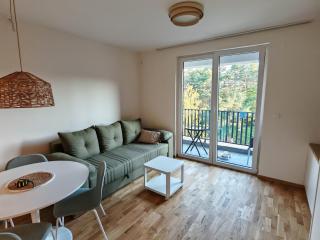 Apartman Maxim Divčibare - Divčibare - 8