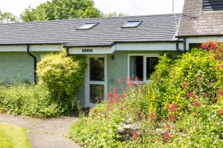 Willow at Gorslwyd - Sound Retreat - 0