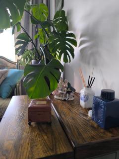 Welcome to Blue Morning house! - Remuera 5 bedrooms villa - Auckland - 3