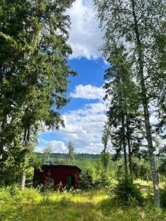 The Secret Cabin - - 1
