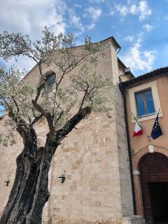 San Gemini Fiori - 3