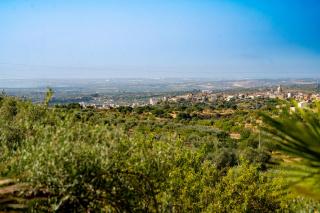 Villa Margherita Country House - Noto - 9