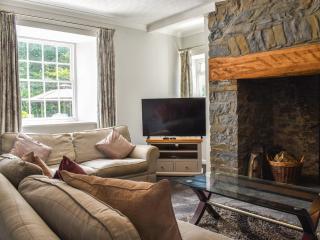 Pengarreg Fawr- Uk47774 - Llanilar - 8
