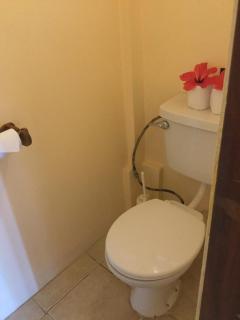 Petite Anse Hotel - Mount Alexander - 4