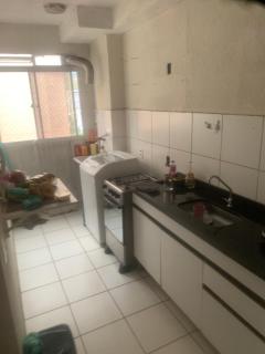 Campo Grande lugar de paz - 4