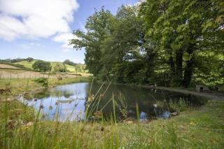 Cartws at Pentrecelyn - styilish barn conversion with large kitchen and outdoor space - Carmarthen - 3
